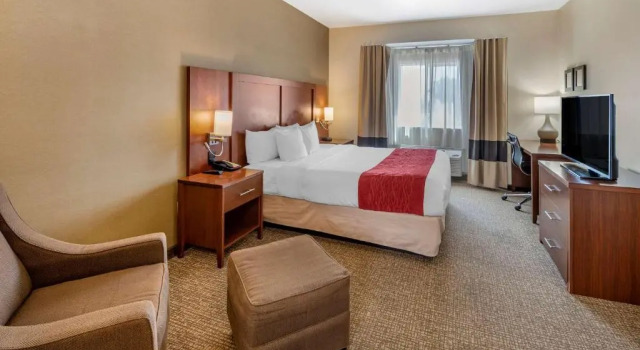 Номер Superior THE ATRIUM HOTEL SFO AIRPORT
