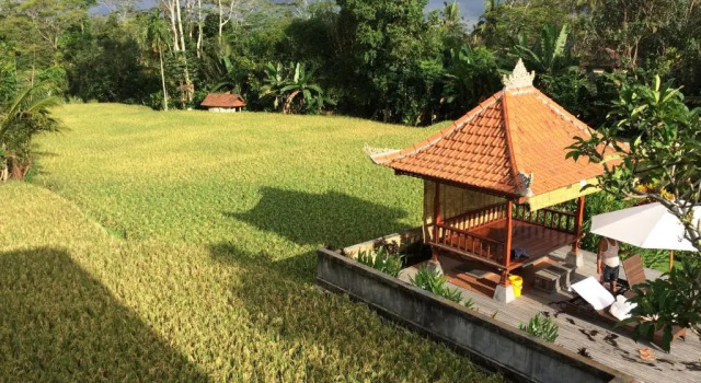 Вилла The Sakara Ubud Villas