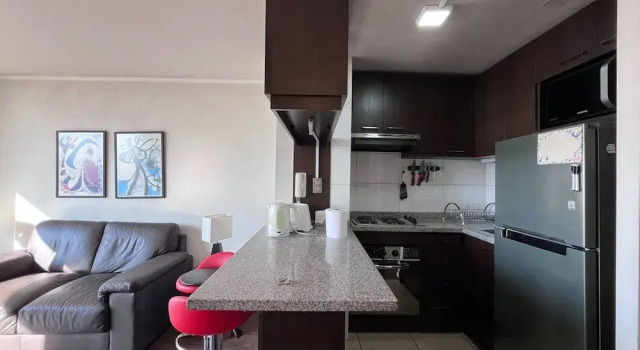 Urban Panoramic Santa Isabel Barrio Italia, Забронировать Апартаменты/квартира Апартаменты Сантьяго, рядом с Гора Санта-Лусия, Апартаменты/квартира