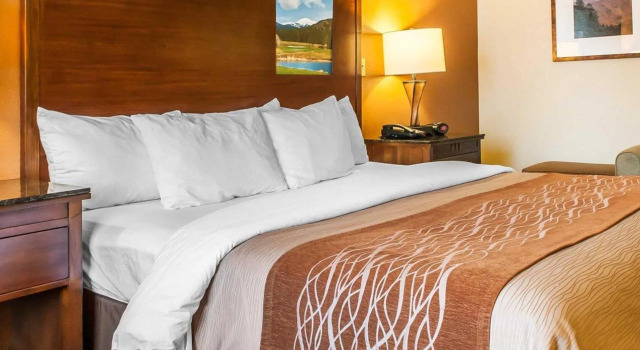 Номер Standard Comfort Inn & Suites Midtown