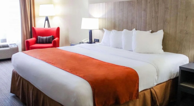 Люкс c 1 комнатой Country Inn & Suites by Radisson, Chester, VA