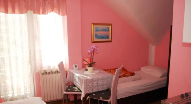 Двухместный номер Standard Apartmani i sobe Đurđan