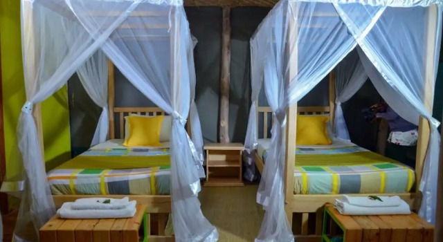 Номер Standard Gorilla Hills Eco-lodge