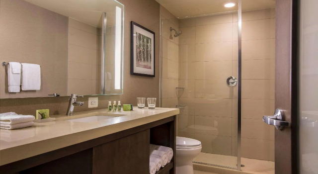 Номер Standard Cambria Hotel Rockville