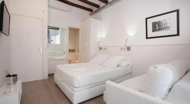 Двухместная студия Barnapartments Basic Gracia