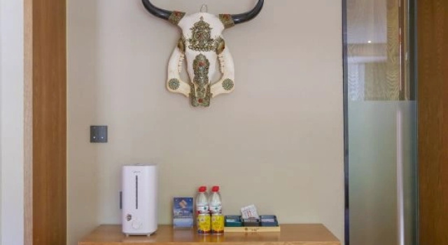 Семейный люкс с красивым видом из окна Langjimizang Hotel
