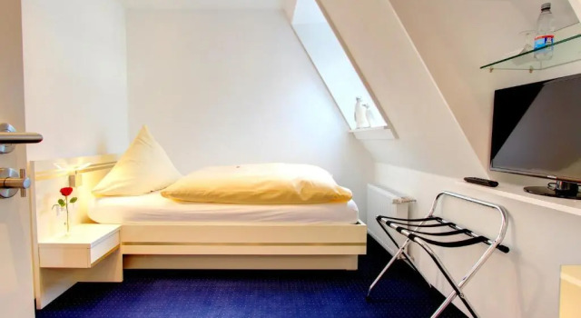 Одноместный номер Standard Hotel Linde