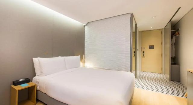 Двухместный номер Deluxe Hotel Peyto Samseong