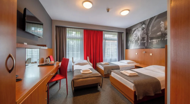 Трёхместный номер Standard Hotel Alexander