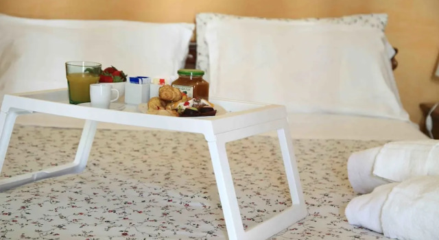 Двухместный номер Standard с балконом Jardin De France