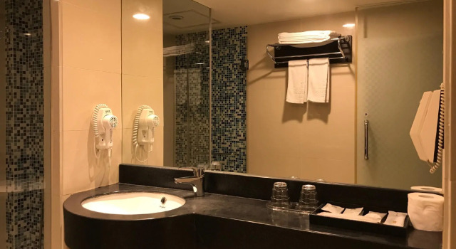 Двухместный номер Standard Delton Hotel