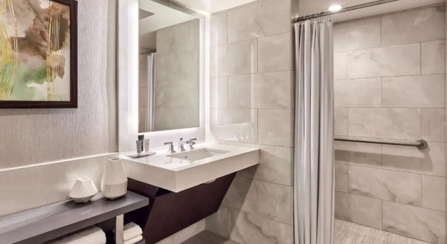 Двухместный номер Deluxe с видом на парк JW Marriott, Anaheim Resort