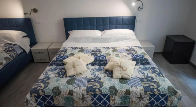 Номер Deluxe 5 Terre Lodge