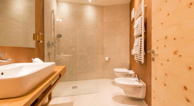 Номер Comfort Hotel Panorama