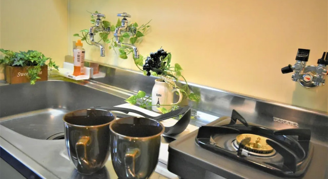 Двухместный номер Standard KIYAZA Station Sapporo