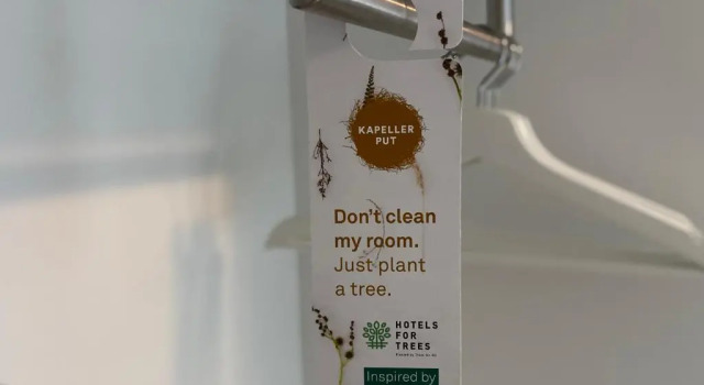 Номер Comfort Hotel Kapellerput Heeze-Eindhoven