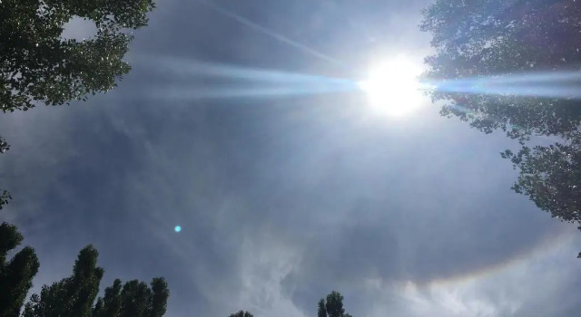 Бунгало Bosque De Sol