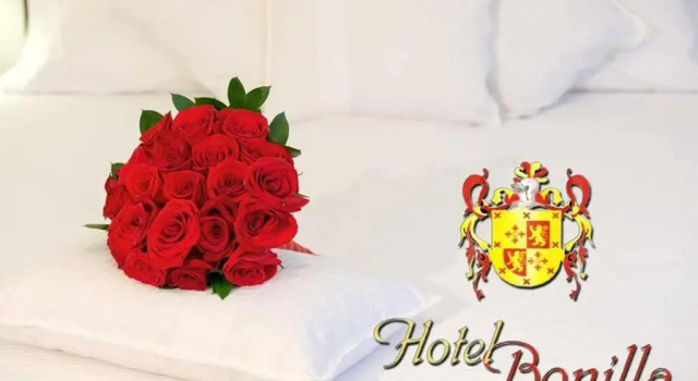 Двухместный номер Standard с красивым видом из окна Hotel Bonilla