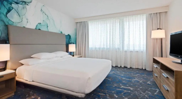 Люкс Hearing Accessible c 1 комнатой Embassy Suites by Hilton Tampa USF Near Busch Gardens