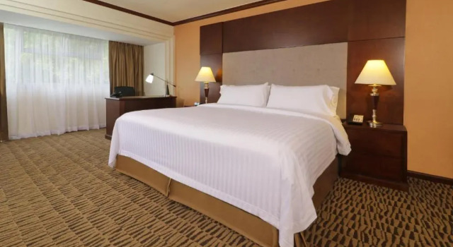 Двухместный номер Executive Holiday Inn Monterrey Norte by IHG