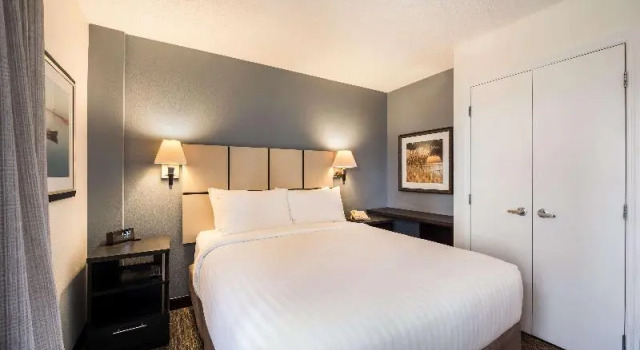 Люкс c 1 комнатой Sonesta Simply Suites Clearwater St Petersburg