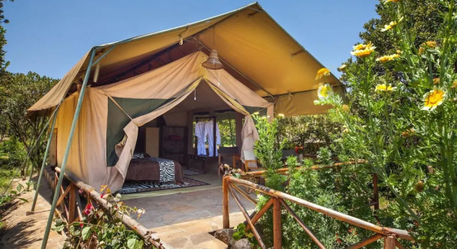 Семейное шале Rhino Watch safari Lodge