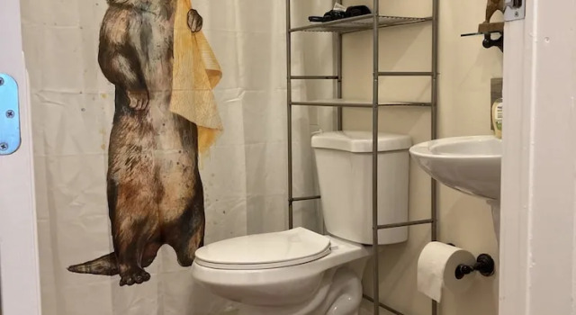 Трёхместный номер Standard Nauti Otter Inn and Yurt Village