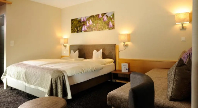 Двухместный номер Superior DAS VIER Sport und Wellnesshotel