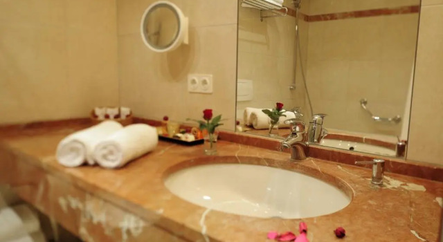 Номер Standard Hotel Villa Gropius