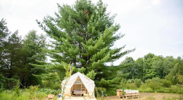 Tentrr - Clove Valley Creek, Buchen Sie Campingplatz High Falls  (See) Ulster County