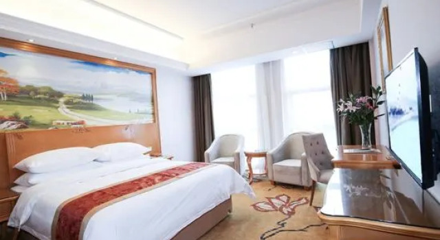 Люкс Deluxe Vienna Hotel (Xinning Langshan)