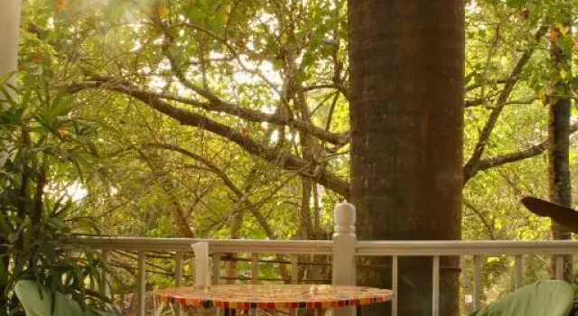 Michèle's Garden