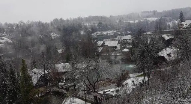 Apartment Tomašević