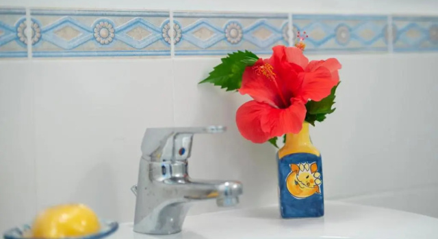 Апартаменты Hibiscus