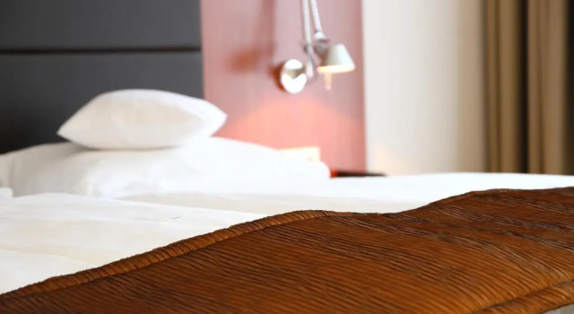 Номер Deluxe Hotel Lauterbad