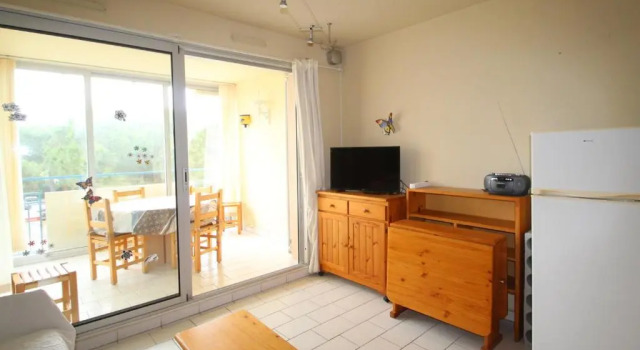 Appartement Argelès-sur-Mer, 2 pièces, 4 personnes - FR-1-309-231