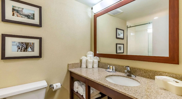 Двухместный номер Standard Comfort Inn Newport News - Hampton I-64