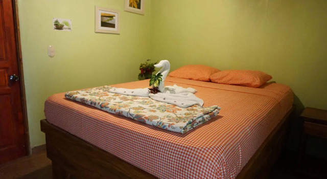 Jungle's Edge: Jiu-Jitsu, Muay Thai & Yoga Retreats, Rezervovat Hotel Nosara Guanacaste