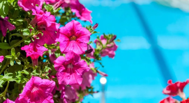 Студия с балконом Ilios Beach Hotel Apartments
