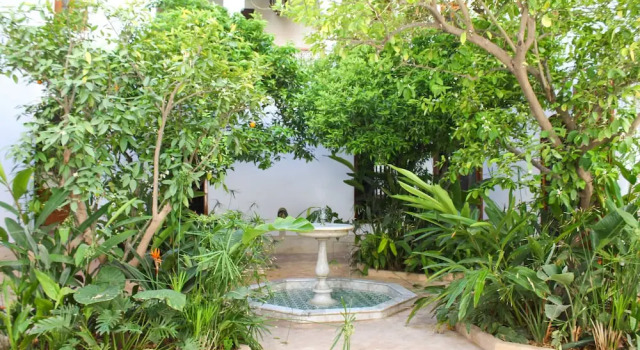 Номер Economy Riad El Morocco Hotel