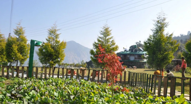 Emerald Trail, Janglia Gaon, 22 kms from Nainital, Rezervovat Hotel Pangot Uttarakhand