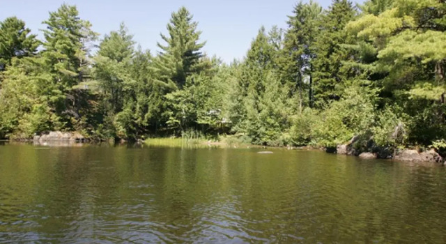Шале Chalet au bord de l'eau Le Nymphéa