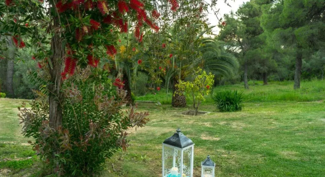 Полулюкс Forest Resort Suites Skiathos