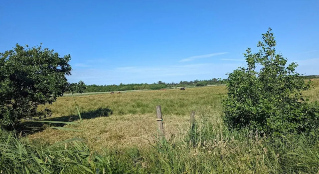 Коттедж 4 star holiday home in Blåvand