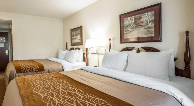 Четырёхместный номер Standard Comfort Inn & Suites Spartanburg North