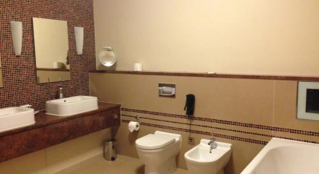 Suite junior cu vedere South Lodge Hotel
