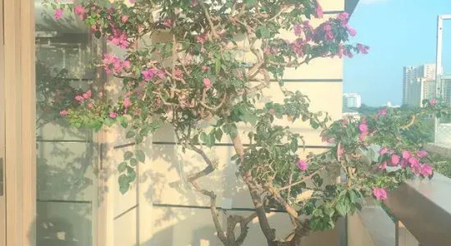 Shiguanghui, Book Hostel Sanya Hainan