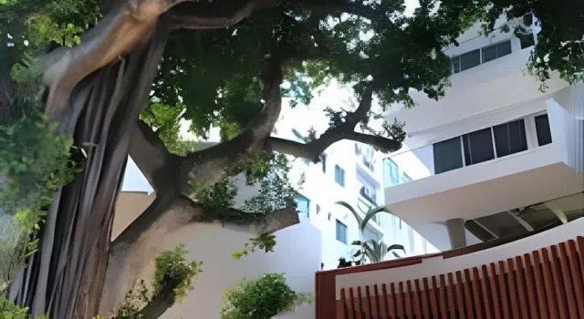 Апартаменты 808 Martinique