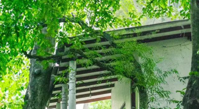 Tamarind Tree House