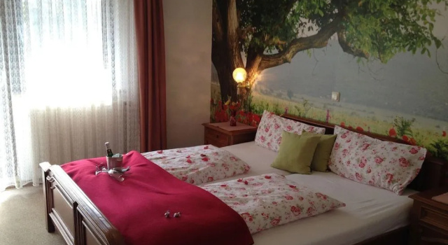 Antjes Schmankerlhotel und Restaurant, Prenota Hotel Trostau Fichtel Mountains